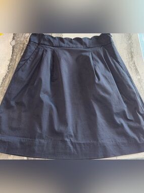 Jcrew skirt